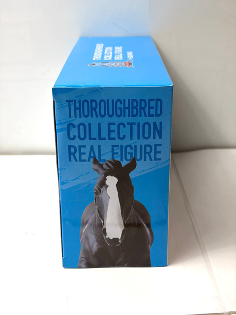 SK Japan Thoroughbred Collection Real Figure Equinox Horse Racing Prize