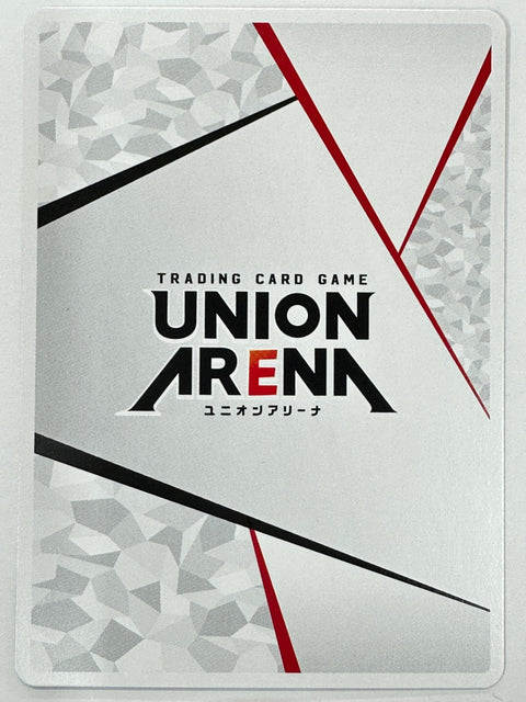 Action Point UA48ST/KGD-1-AP01 Kingdom Union Arena