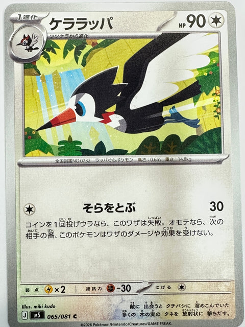 065/081 ケララッパ