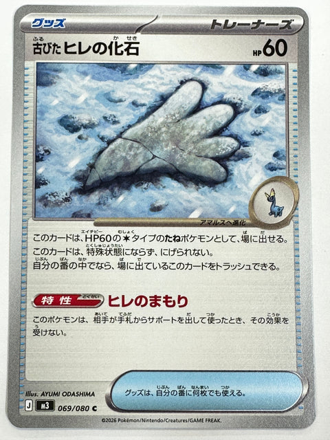 069/080 古びたヒレの化石