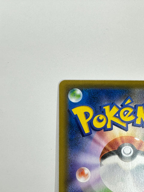 306/SM-P Eevee promo card pokemon card