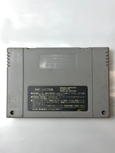 スーパーチャイニーズファイター