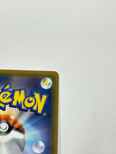 306/SM-P Eevee promo card pokemon card
