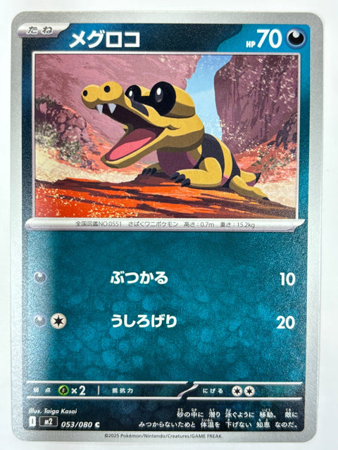 053/080 メグロコ