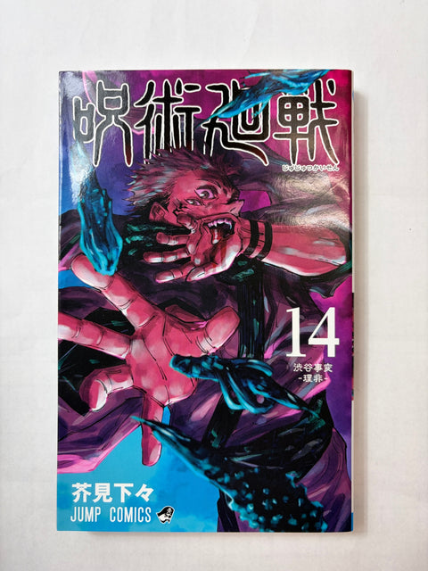 呪術廻戦 14 (ジャンプコミックス)