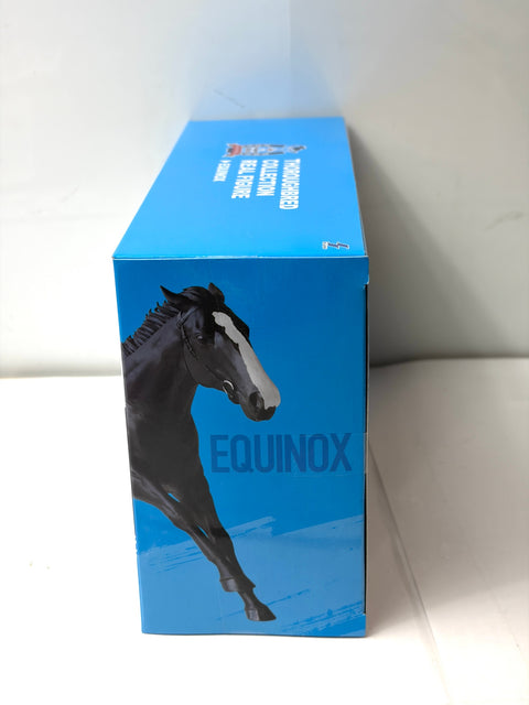 SK Japan Thoroughbred Collection Real Figure Equinox Horse Racing Prize