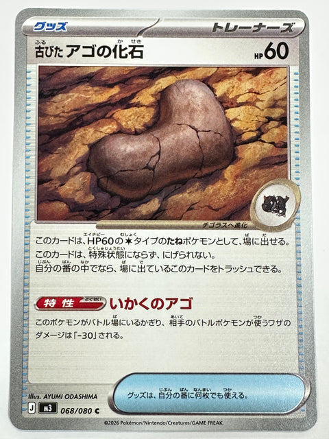 068/080 古びたアゴの化石