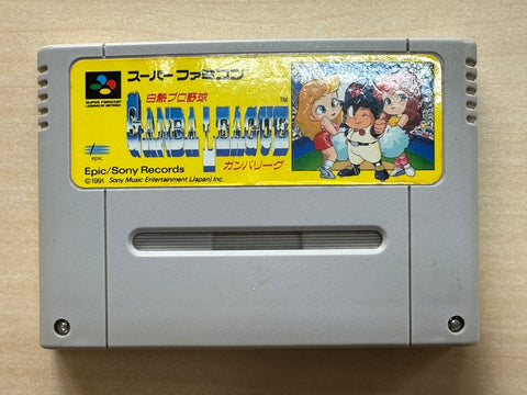白熱プロ野球ガンバリーグ