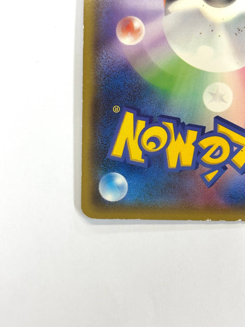 HP Pokemon Card Rayquaza EX 123/XY-P promo Japan