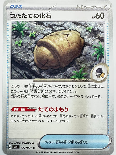072/081 古びたたての化石