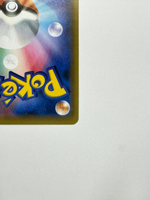 306/SM-P Eevee promo card pokemon card