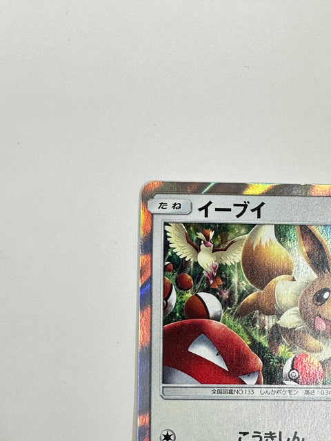 306/SM-P Eevee promo card pokemon card