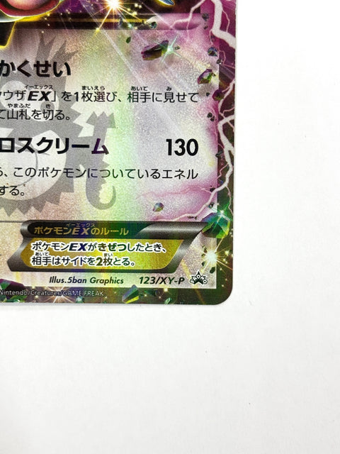 HP Pokemon Card Rayquaza EX 123/XY-P promo Japan