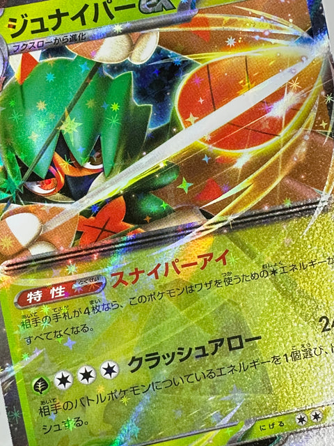 Decidueye ex RR 012/080 M3 Munix Zero Pokemon Card Japan