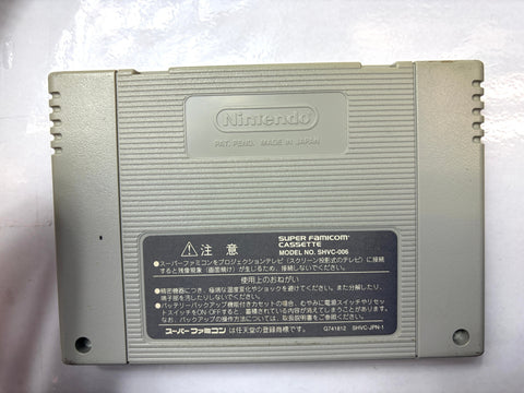 Super Donkey Kong 3 Country Dixie Kong Double Trouble Super Famicom SNES Nintendo Japan