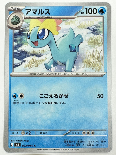 022/080 アマルス